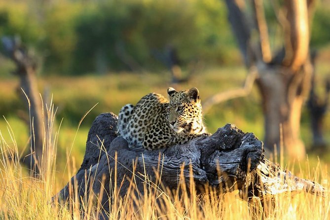 2 days Amboseli National Park Safari - Key points at a glance