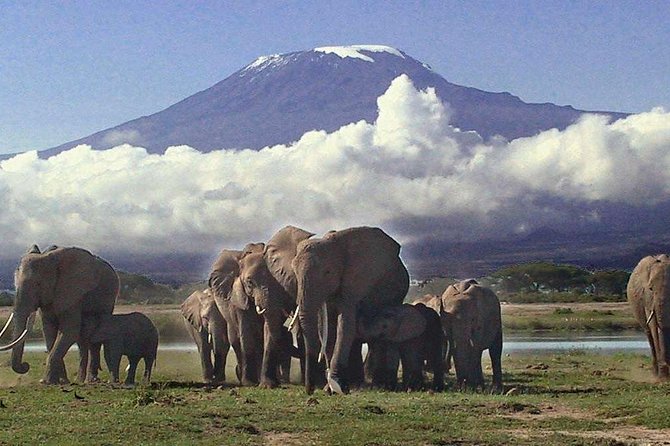 2 Days Amboseli National Park Safari- Guarantee Daily Departure - Key points to know before booking