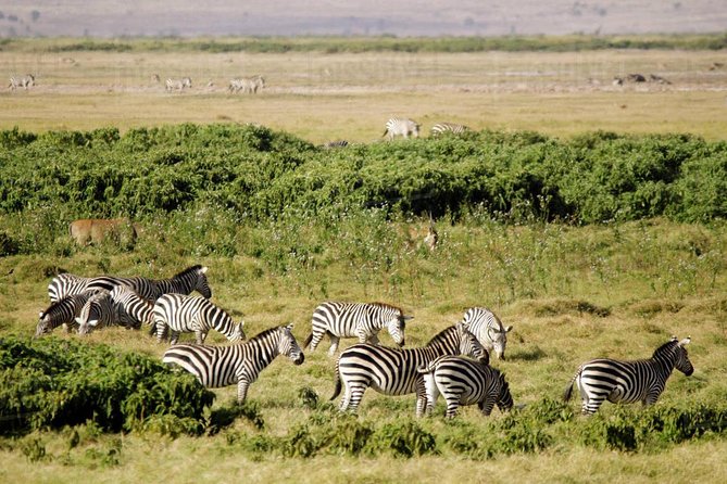 2 Days Amboseli National Park Safari - Leaving Nairobi for the park