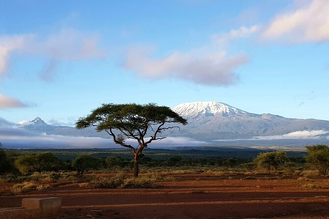 2 Days Amboseli Park Overnight Private Safari - Who should book this two-day safari