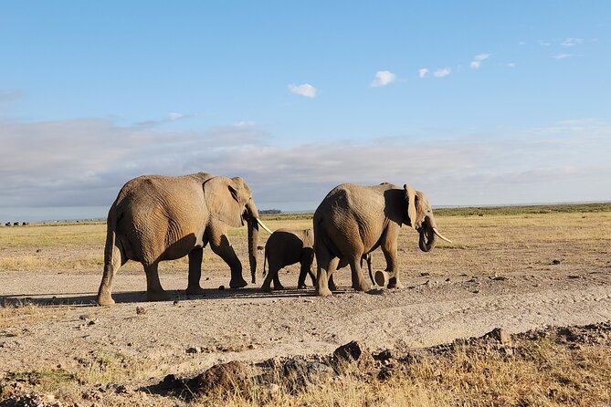 2 Days Amboseli Park Overnight Private Safari - The habitats that give Amboseli its character