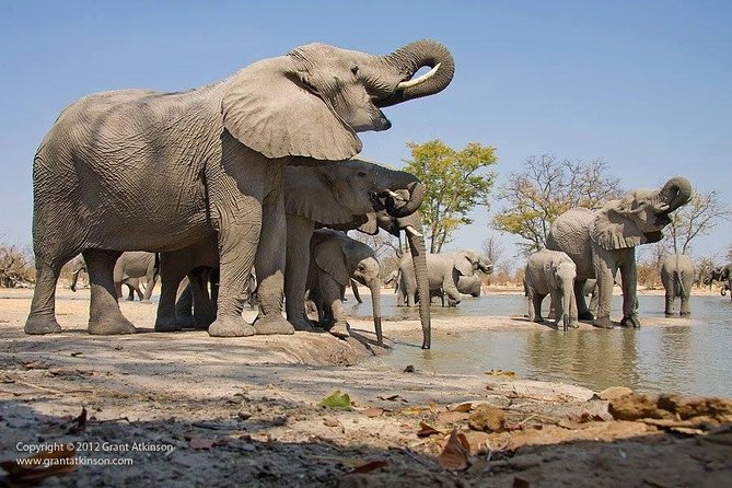 2 Days Amboseli Safari Adventure from Nairobi Classic Game Drives - Key points before you book