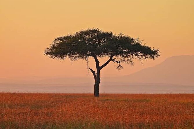2 Days Amboseli Safari Adventure from Nairobi Classic Game Drives - The overnight stay and what to confirm