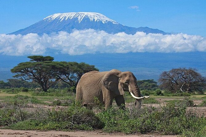2 Days Amboseli Safari Adventure from Nairobi Classic Game Drives - Food, transport, and the daily rhythm
