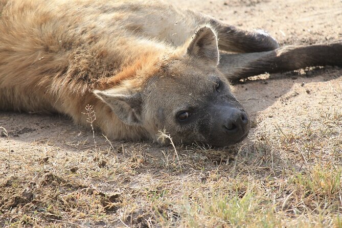 2 days group safari to Amboseli National park (Mon-Wed-Sat only) - What the $200 price really covers