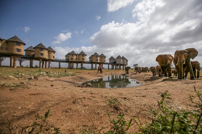 2 Days Kenya Safari special Tsavo East and Taita hills Saltlick from Mombasa - Why this short safari works from Mombasa