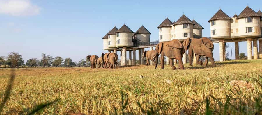 2 days Tsavo East and saltlick safari from Diani/Mombasa - The 5:00 am departure from the coast