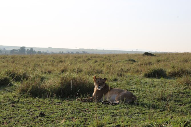 2 Days Tsavo East National Park Tour From Mombasa/Diani (1 Night) - Your first Tsavo game drive