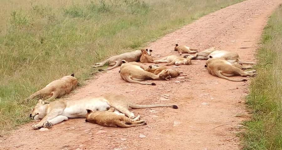 2-Days Wildlife Safari to Tsavo East & Tsavo West Park - Who will enjoy this safari most?
