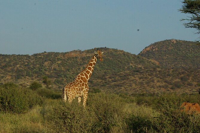 2 nights 3 days Masai Mara safari package - Who should choose this safari?