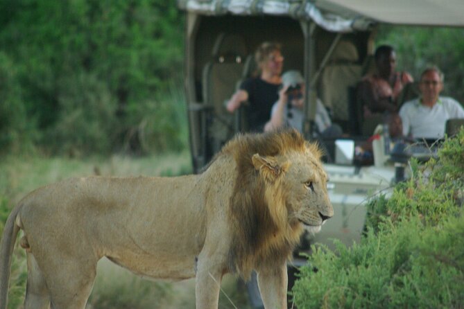 2 nights 3 days Masai Mara safari package - Day one at the Mara River