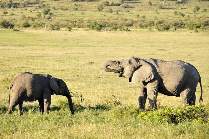 3 Day 2 Nights Maasai Mara Safari - Leaving Nairobi at 7:00 am through the Great Rift Valley