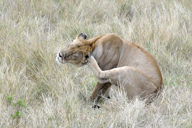 3 Day 2 Nights Maasai Mara Safari - Who will enjoy this safari most