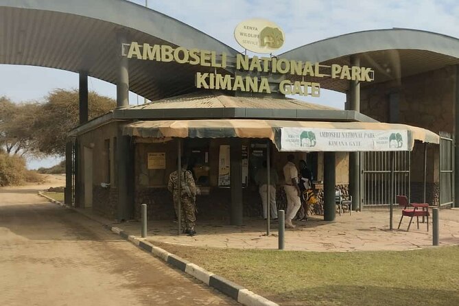3-Day Amboseli Safari from Nairobi - Day 1: Lunch, a Pool Break, and the First Game Drive