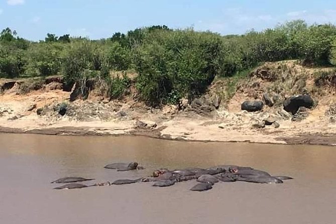 3-DAY Best Maasai Mara Safari (POPULAR) - What the $200 price really buys you