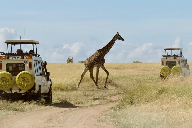 3-Day Budget Maasai Mara Joining Safari with 4x4 LandCruiser Jeep - Key details before you book