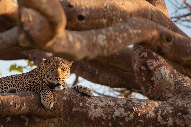 3-day Budget Safari To Maasai Mara - What the $375 price really buys you