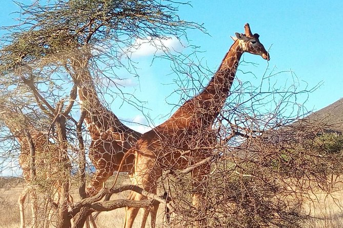 3-day Budget Safari To Maasai Mara - Leaving the reserve on day three