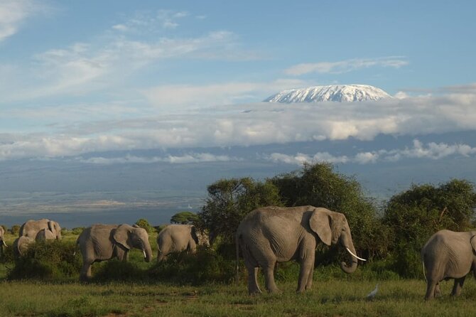 3 Day Exploring Amboseli National Park - Key points at a glance