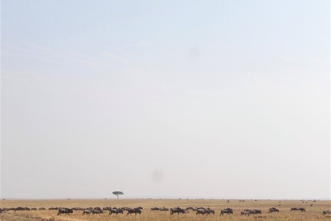 3 Day Exploring Amboseli National Park - The early start from Nairobi