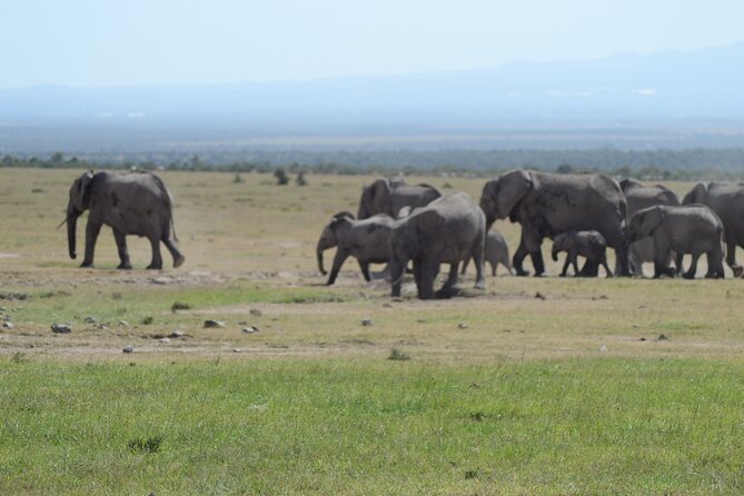 3-Day Group Safari in Masai Mara with Pick Up - Who will enjoy this three-day format