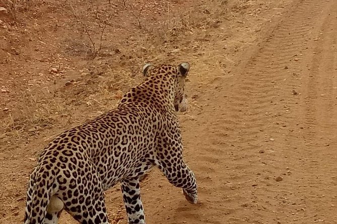 3 day maasai mara budget Camping Group safari - The Full Eight-Hour Mara Game Drive