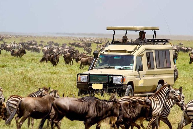 3 Day Maasai Mara Group Joining Camping Safari - Daily Departures - Day one: From Nairobi to the Great Valley Viewpoint