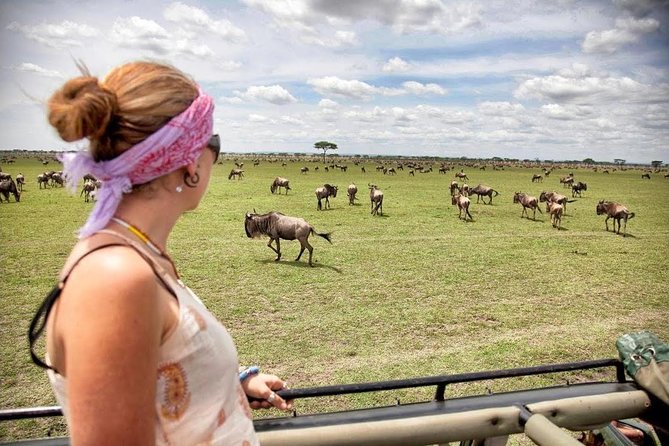 3 Day Maasai Mara Group Joining Camping Safari - Daily Departures - Day three: One last search before Nairobi