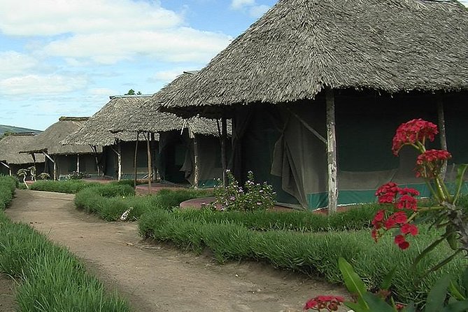 3 Day Maasai Mara Group Joining Camping Safari - Daily Departures - What the $445 price really means
