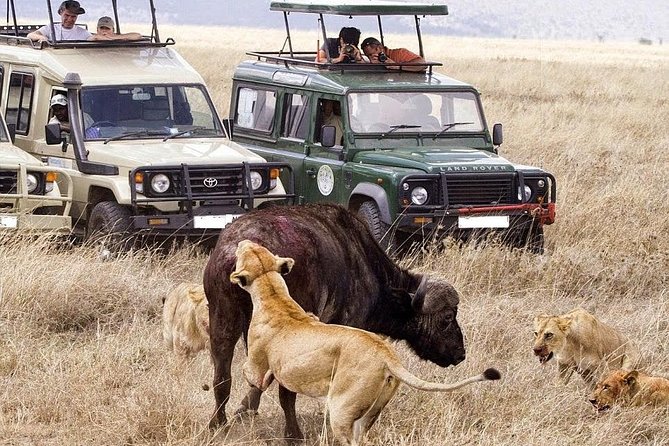 3 Day Maasai Mara Group Joining Camping Safari - Daily Departures - The tented camp: Budget comfort with a savannah feel