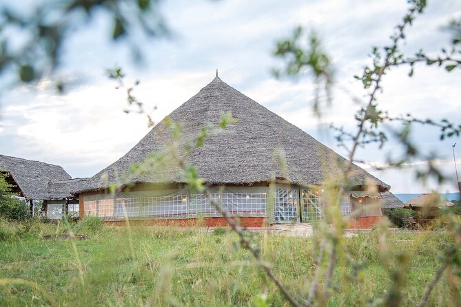 3-Day Maasai Mara Group Joining Safari - How the Experience Has Performed