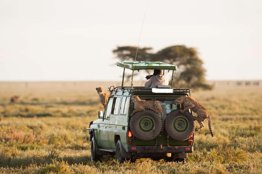3-Day Maasai Mara Joining Safari at Enkorok Luxury Camp - Key points before you book