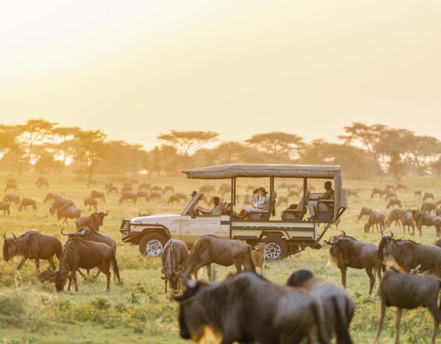 3-Day Maasai Mara Joining Safari at Enkorok Luxury Camp - What the $995 price really covers