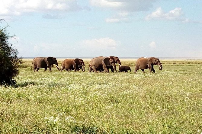 3 Day Maasai Mara & Migration safari - Leaving Nairobi for the Maasai Mara