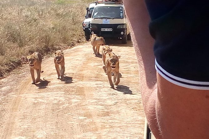 3 Day Maasai Mara & Migration safari - Who Will Get the Most From This Trip
