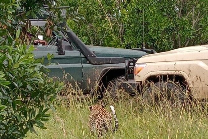 3-Day Maasai Mara Safari Tour in a 4 x4 Land Cruiser Jeep - The road from Nairobi and the Great Rift Valley stop