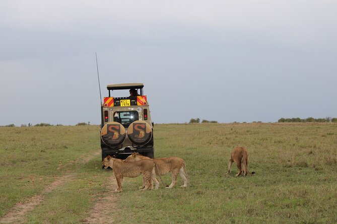 3-Day Maasai Mara Sharing Safari in a 4x4 Land Cruiser Jeep - Leaving Nairobi for the Great Rift Valley