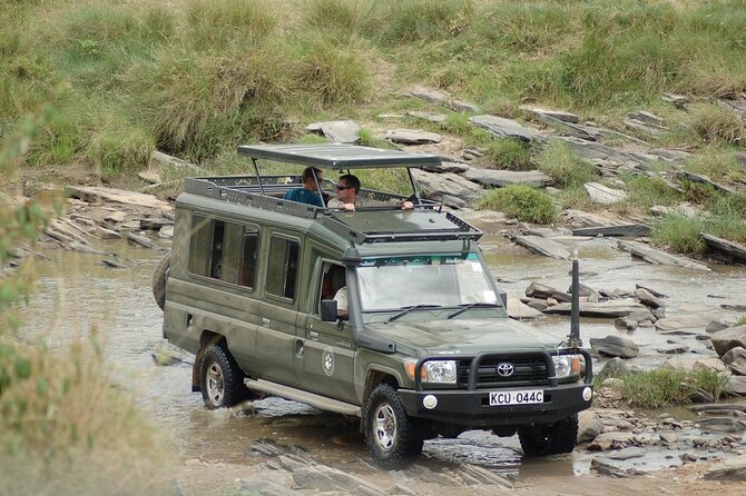 3-Day Masai Mara Group Safari with Pick Up - Day Two: Six Hours or More of Wildlife Searching