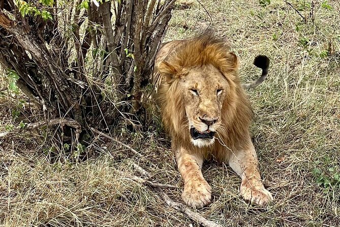 3-Day Masai Mara Jeep Safari - Returning to Nairobi on Day Three