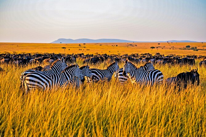 3-Day Masai Mara Jeep Safari - Mount Longonot and Lunch in Narok