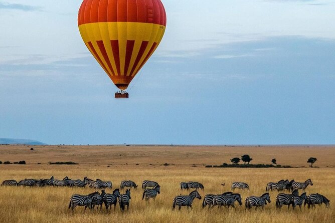 3-Day Masai Mara Safari Tour - Day two: the full game-drive day