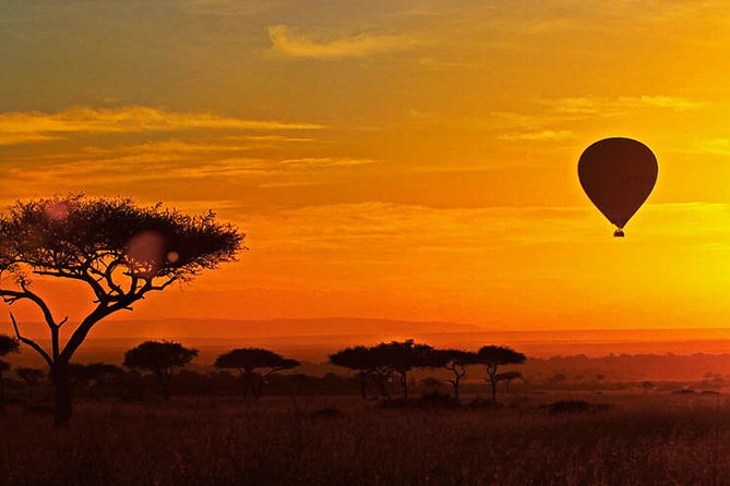 3-day Masai Mara Safari Tour to see the big five and wildebeest migration - Food, camp comfort, and what to pack