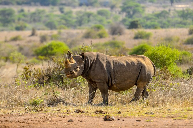 3-Day Masai Mara Wildebeest Migration 2025 - Day 1: From Nairobi through the Great Rift Valley