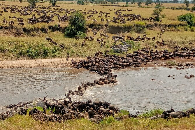3 Day Private 4x4 Jeep Tour in Masai Mara Safari - Day one: Nairobi to the Mara and an afternoon game drive