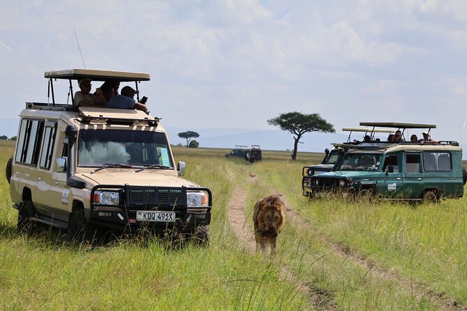 3 Day Private Tour in Maasai Mara with Lodge Luxury with Jeep - A Maasai village visit on the final morning