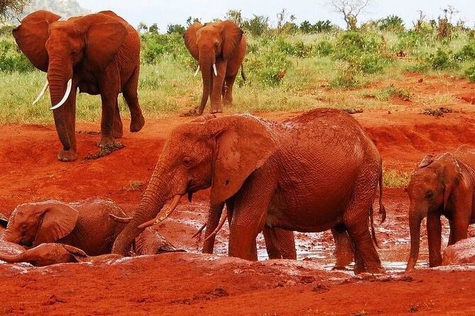 3-Day Private Tour in Tsavo East and Tsavo West - Key points to know before booking
