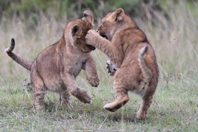 3-Day Private Tour in Tsavo West National Parks - Is $1,790 per person fair value?
