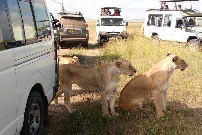 3 Day Private Wild Safari Tour in Maasai Mara - Leaving Nairobi at 7 a.m.