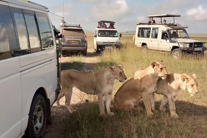 3 Day Private Wild Safari Tour in Maasai Mara - Lake Naivasha and Kericho as optional additions