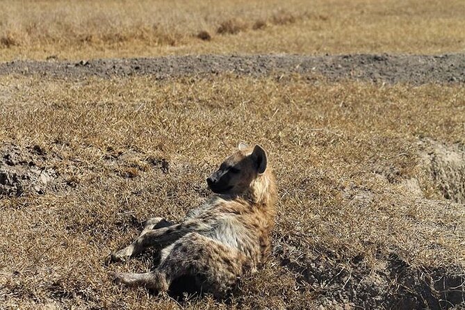 3-Day Safari Tour in two National Parks - Tsavo East’s appeal, and its limits